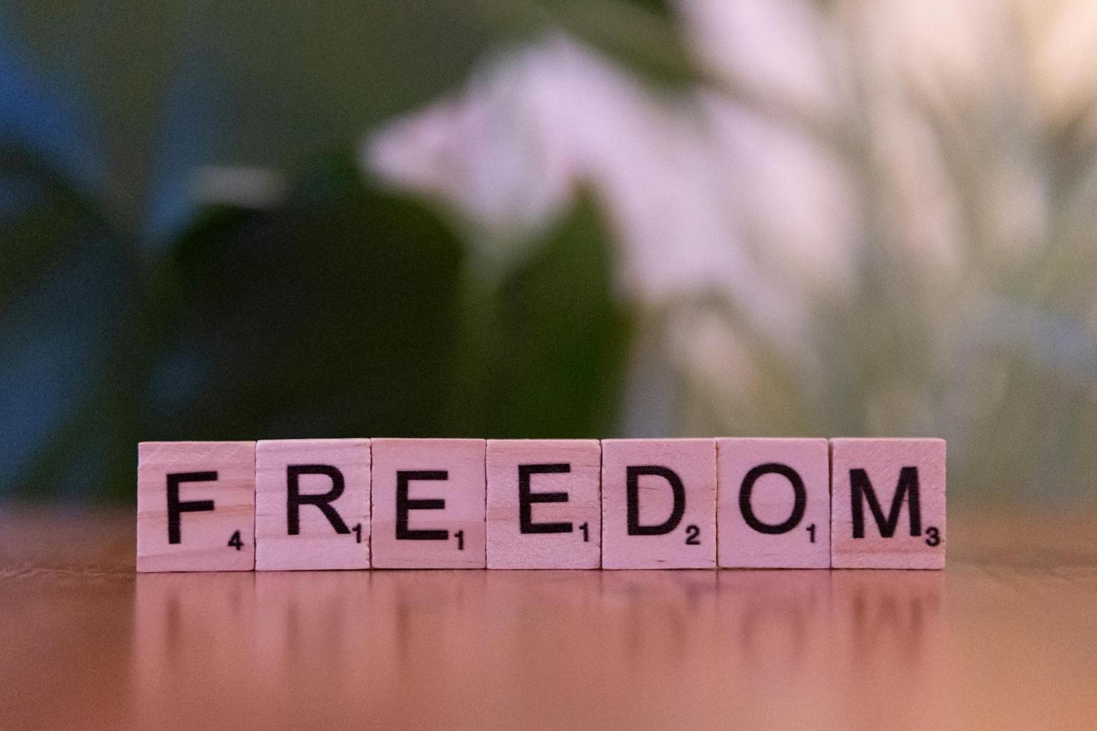 freedom concept with wooden letter tiles